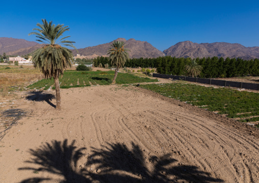 Traditional old mud house, Najran Province, Najran, Saudi Arabia