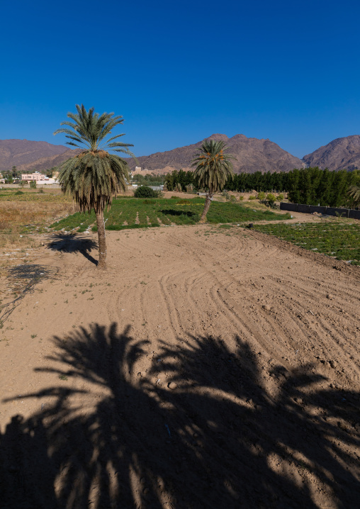 Traditional old mud house, Najran Province, Najran, Saudi Arabia