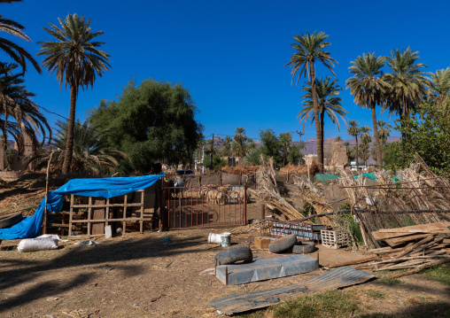 Local farm with sheeps, Najran Province, Najran, Saudi Arabia