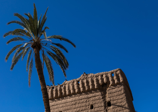 Traditional old mud house and a plam tree against blue sky, Najran Province, Najran, Saudi Arabia