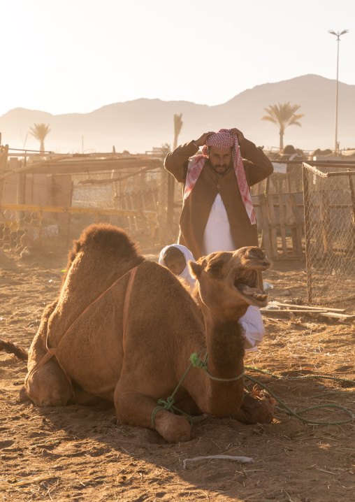 Saudi men in the camel market, Najran Province, Najran, Saudi Arabia