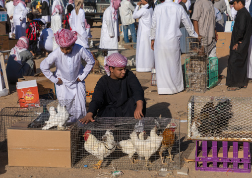 Saudi people in the bird and poultry market, Najran Province, Najran, Saudi Arabia