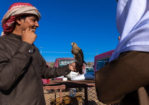 Saudi man with a falcon perching on hand in a bird market, Najran Province, Najran, Saudi Arabia