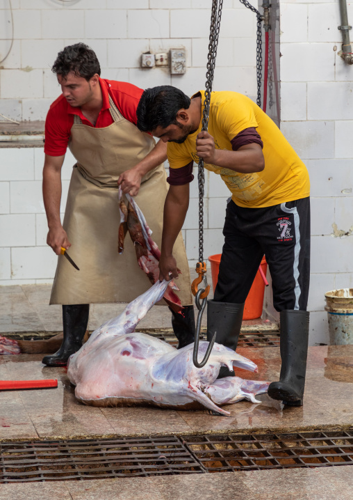Butchers working at slaughterhouse, Najran Province, Najran, Saudi Arabia
