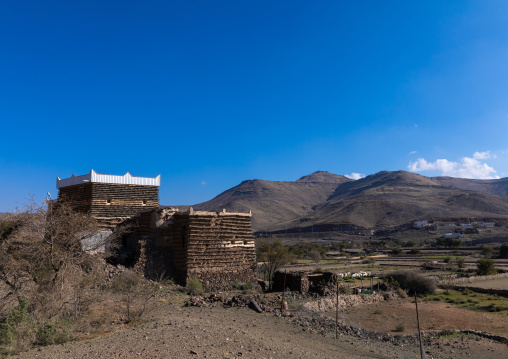 Stone and mud houses with slates, Asir province, Sarat Abidah, Saudi Arabia
