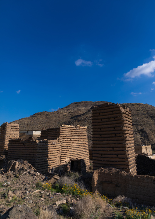 Stone and mud houses with slates, Asir province, Sarat Abidah, Saudi Arabia