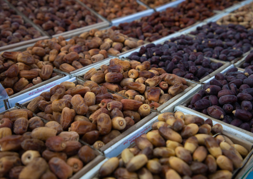 Dates for sale in a market, Asir province, Muhayil, Saudi Arabia
