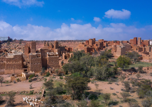 Stone and mud houses with slates in a village, Asir province, Sarat Abidah, Saudi Arabia