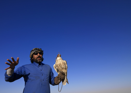 Falconry in the desert, Al-Jawf Province, Sakaka, Saudi Arabia