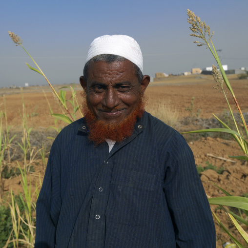 Saudi farmer with a red beard, Jizan Province, Jizan, Saudi Arabia