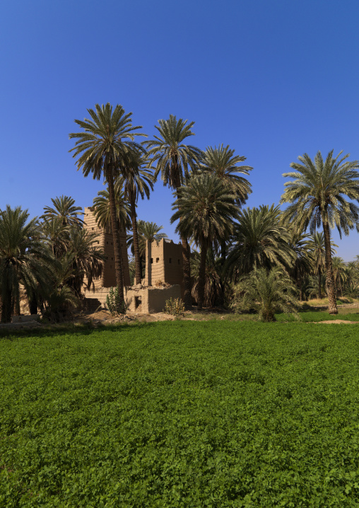 Traditional old multi-storey mud house, Najran Province, Najran, Saudi Arabia