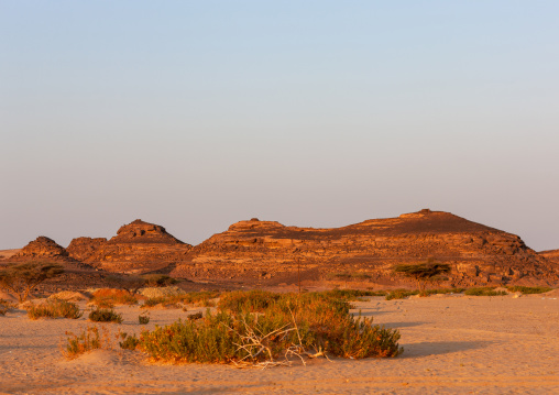 Petroglyphs site in abar himma, Najran Province, Najran, Saudi Arabia