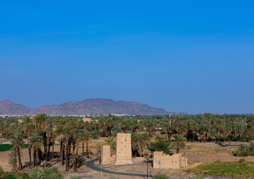 Traditional mud-bricks houses in an oasis, Najran Province, Najran, Saudi Arabia