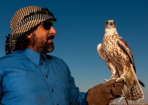 Saudi man with falcon perching on hand, Al-Jawf Province, Sakaka, Saudi Arabia