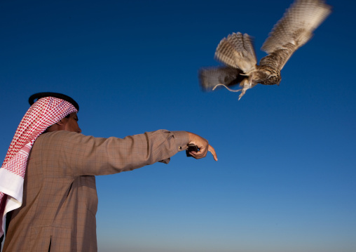 Falconry in the desert, Al-Jawf Province, Sakaka, Saudi Arabia
