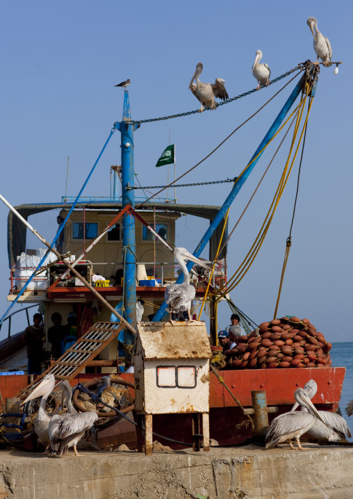 Fishermen boats in the port, Jizan Province, Jizan, Saudi Arabia