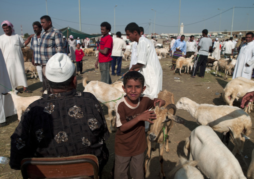 Animal market, Jizan Province, Sabya, Saudi Arabia