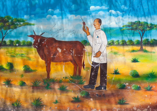 Veterinary vaccination advertisement poster, Woqooyi Galbeed region, Hargeisa, Somaliland