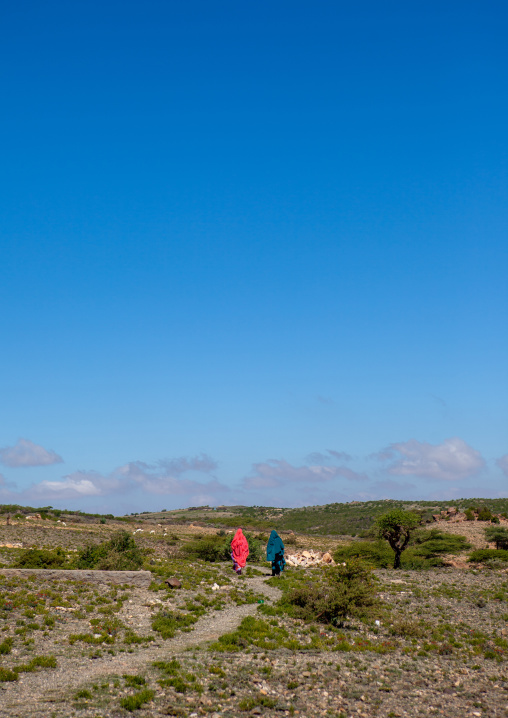 Somali women in sheikh mountains, Togdheer, Sheikh, Somaliland