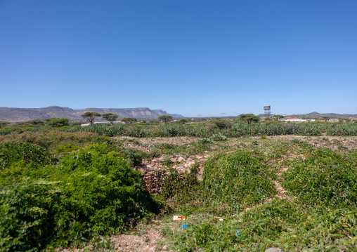 Ruins in sheikh mountains, Togdheer, Sheikh, Somaliland