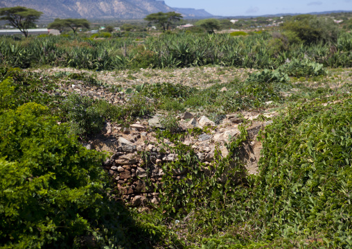 Ruins In the Nature In Sheikh Hussein, El Sheikh, Somaliland