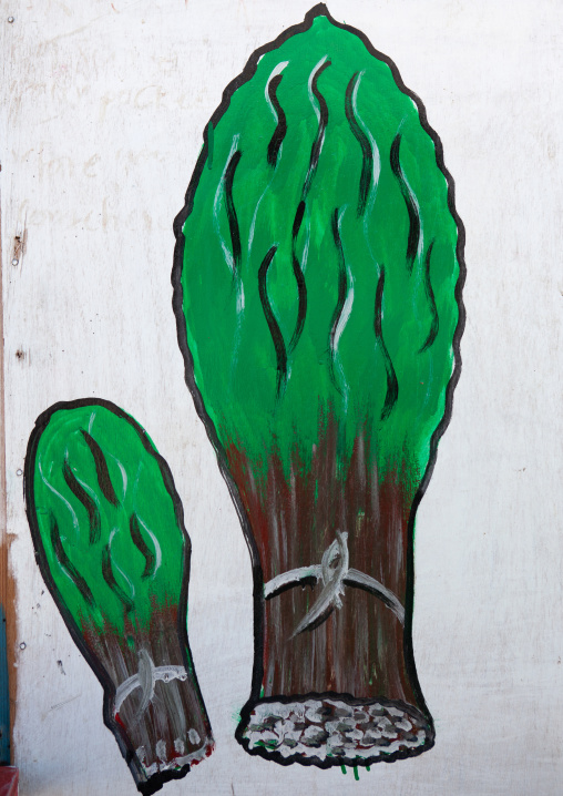 A khat advertisement painted sign, Woqooyi Galbeed region, Hargeisa, Somaliland