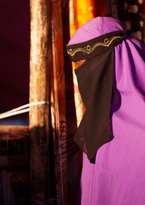 Portrait of a somali woman wearing a niqab, Woqooyi Galbeed region, Hargeisa, Somaliland
