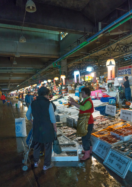 Noryangjin fisheries wholesale market, National capital area, Seoul, South korea