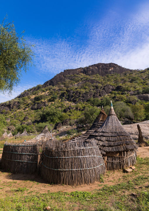 Houses with thatched roof in a Larim tribe traditional village, Boya Mountains, Imatong, South Sudan