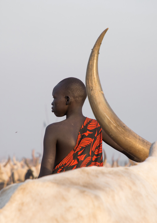 Portrait of a Mundari tribe woman in a cattle camp, Central Equatoria, Terekeka, South Sudan