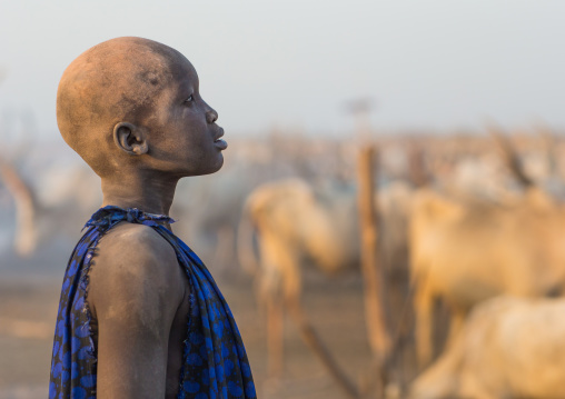 Portrait of a Mundari tribe boy covered in ash to repel flies and mosquitoes in a cattle camp, Central Equatoria, Terekeka, South Sudan