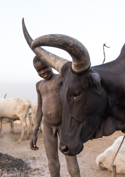 Mundari tribe boy in the middle of long horns cows in a cattle camp, Central Equatoria, Terekeka, South Sudan