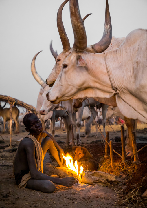 Mundari tribe boy making a campfire with dried cow dungs to repel flies and mosquitoes, Central Equatoria, Terekeka, South Sudan