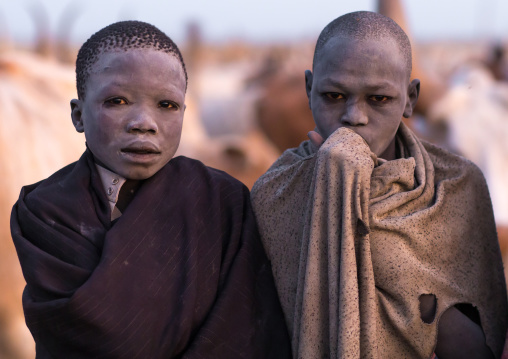 Mundari tribe boys covered in ash to repel flies and mosquitoes in a cattle camp, Central Equatoria, Terekeka, South Sudan