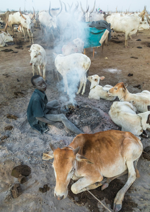 Mundari tribe boy making a campfire made with dried cow dungs to repel flies and mosquitoes, Central Equatoria, Terekeka, South Sudan