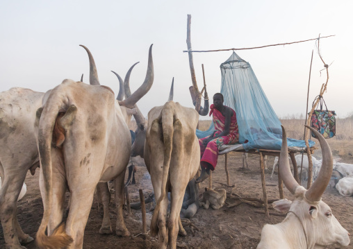 Mundari tribe man sitting on a bed in the early morning in a cattle camp, Central Equatoria, Terekeka, South Sudan
