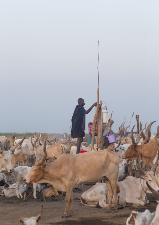 Mundari tribe woman in the cattle camp, Central Equatoria, Terekeka, South Sudan