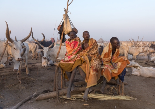 Mundari tribe men sitting on a bed in the early morning in a cattle camp, Central Equatoria, Terekeka, South Sudan