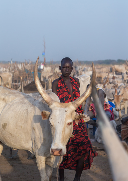 Portrait of a Mundari tribe woman in a cattle camp, Central Equatoria, Terekeka, South Sudan