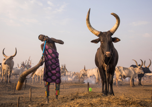 Mundari tribe man blowing in a cow horn, Central Equatoria, Terekeka, South Sudan