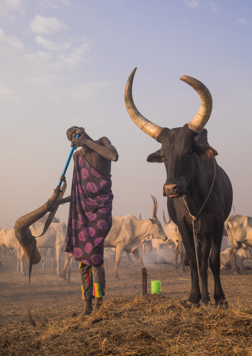 Mundari tribe man blowing in a cow horn, Central Equatoria, Terekeka, South Sudan