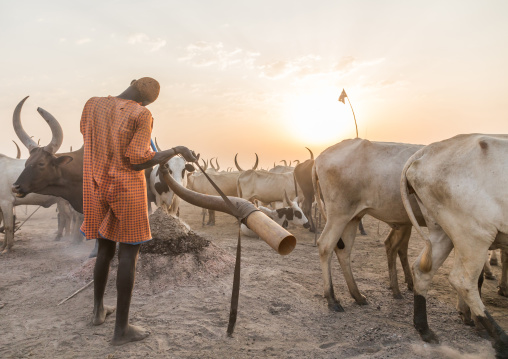 Mundari tribe man blowing in a cow horn, Central Equatoria, Terekeka, South Sudan