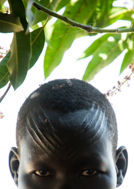 Portrait of a Mundari tribe woman with scarifications on the forehead, Central Equatoria, Terekeka, South Sudan