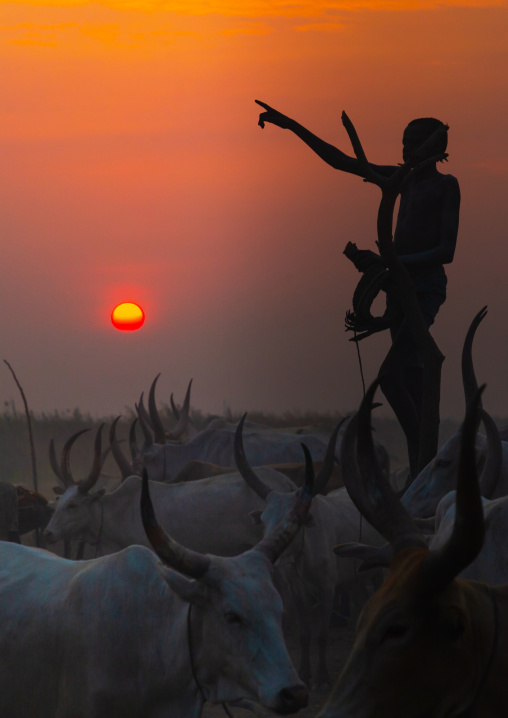 A Mundari tribe boy standing on a wood mast to watch his cows in the sunset, Central Equatoria, Terekeka, South Sudan