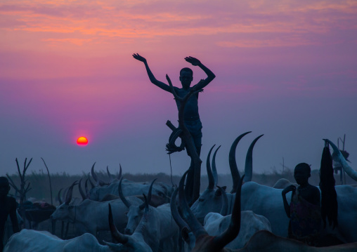A Mundari tribe boy standing on a wood mast mimics the position of horns of his favourite cow, Central Equatoria, Terekeka, South Sudan