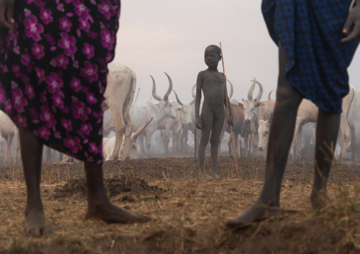 Mundari tribe boy in the middle of long horns cows in a cattle camp, Central Equatoria, Terekeka, South Sudan