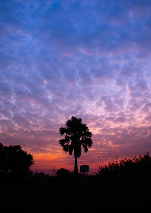 Sunset over the river Nile, Central Equatoria, Terekeka, South Sudan