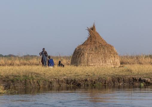 Mundari tribe cow camp on the bank of river Nile, Central Equatoria, Terekeka, South Sudan