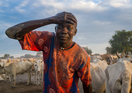 Mundari tribe man showering with cow urine to take advantage of the antibacterial properties, Central Equatoria, Terekeka, South Sudan