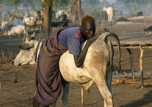 Mundari tribe man leaning on the back of his cow, Central Equatoria, Terekeka, South Sudan
